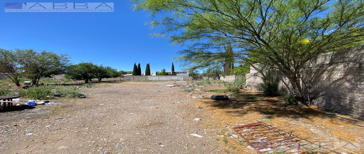 Foto de terreno habitacional en venta en  , josé mariano jiménez centro, jiménez, chihuahua, 0 No. 04