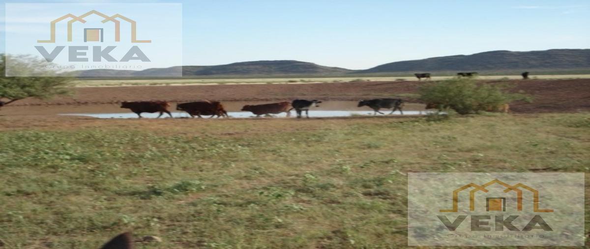 Foto de rancho en , josé mariano jiménez centro, jiménez, chihuahua, 27571841 foto 02 Foto de rancho en venta en , josé mariano jiménez centro, jiménez, chihuahua, 27571841 No. 02