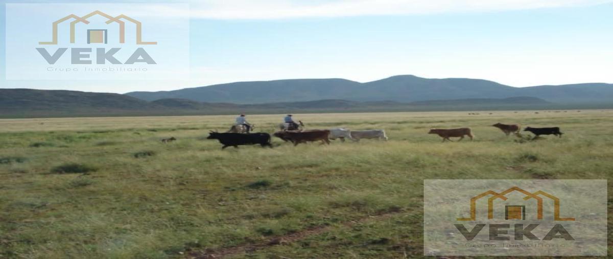 Foto de rancho en , josé mariano jiménez centro, jiménez, chihuahua, 27571841 foto 03 Foto de rancho en venta en , josé mariano jiménez centro, jiménez, chihuahua, 27571841 No. 03