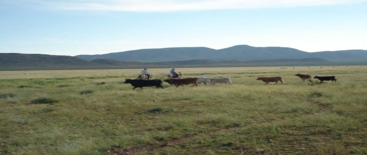 Foto de rancho en venta en  , josé mariano jiménez centro, jiménez, chihuahua, 27571841 No. 03
