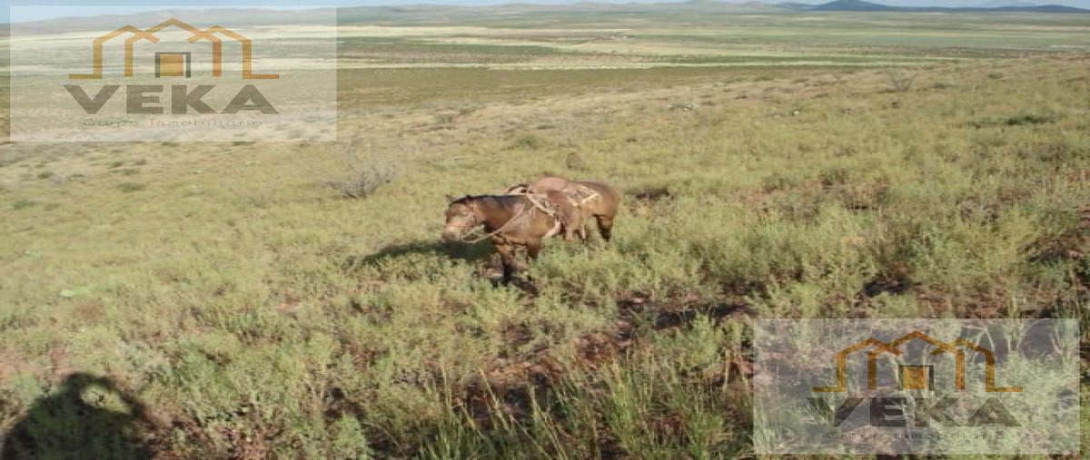 Foto de rancho en , josé mariano jiménez centro, jiménez, chihuahua, 27571841 foto 04 Foto de rancho en venta en , josé mariano jiménez centro, jiménez, chihuahua, 27571841 No. 04