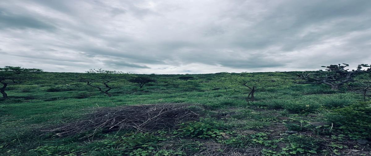 Foto de terreno habitacional en venta en jose resendiz urquiza frac ii ojo de agua , sabino chico, san juan del río, querétaro, 0 No. 03
