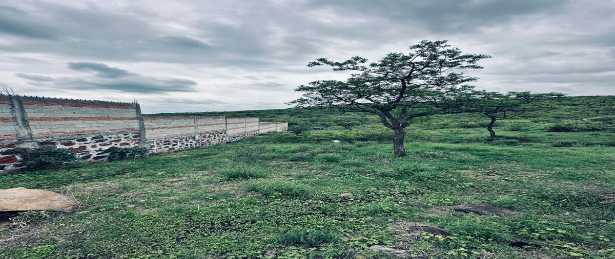 Foto de terreno habitacional en venta en jose resendiz urquiza frac ii ojo de agua , sabino chico, san juan del río, querétaro, 0 No. 04