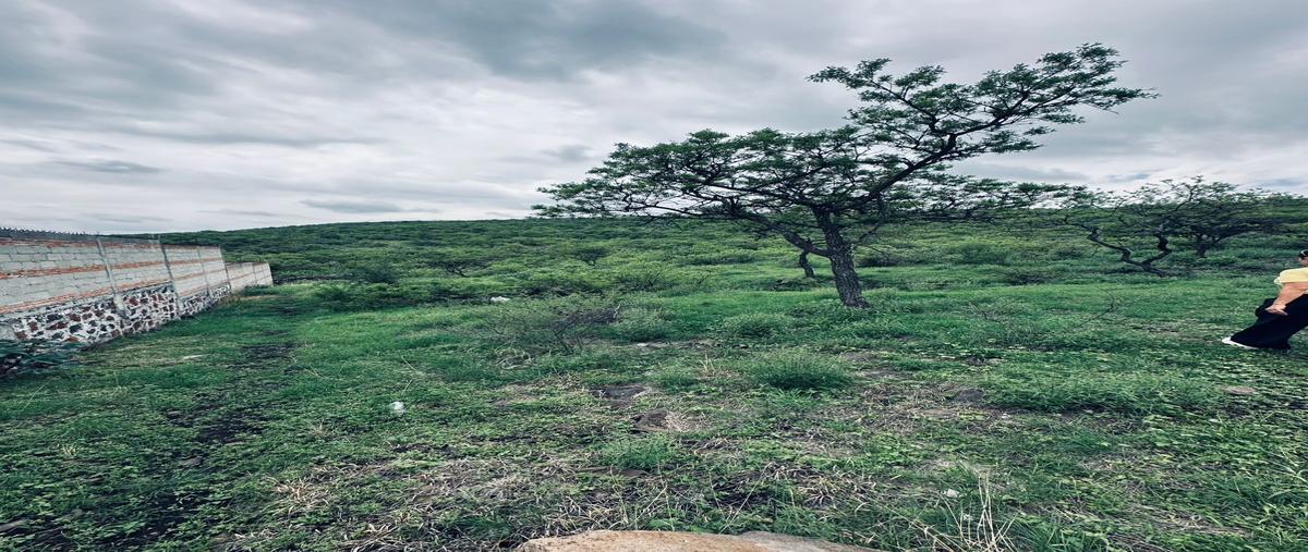 Foto de terreno habitacional en venta en jose resendiz urquiza frac ii ojo de agua , sabino chico, san juan del río, querétaro, 0 No. 05