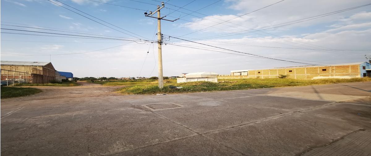 Foto de terreno habitacional en venta en  , josé sánchez del río, sahuayo, michoacán de ocampo, 25788910 No. 03