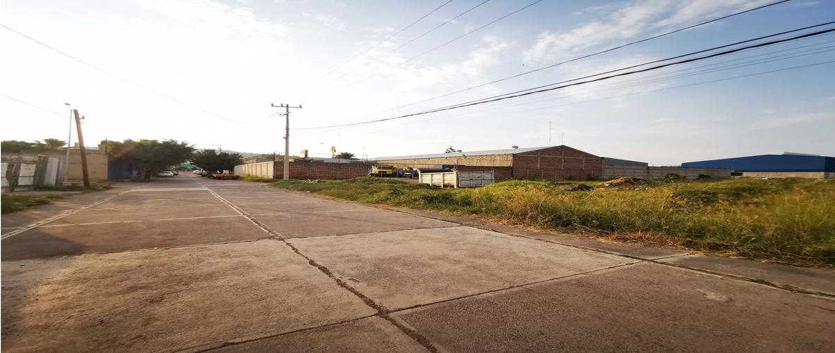 Foto de terreno habitacional en venta en  , josé sánchez del río, sahuayo, michoacán de ocampo, 25788910 No. 04