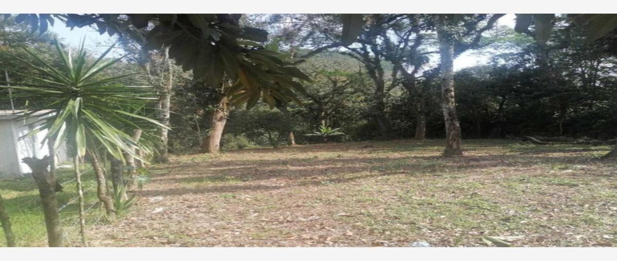 Foto de terreno habitacional en venta en josé vasconcelos , josé vasconcelos, xalapa, veracruz de ignacio de la llave, 0 No. 04