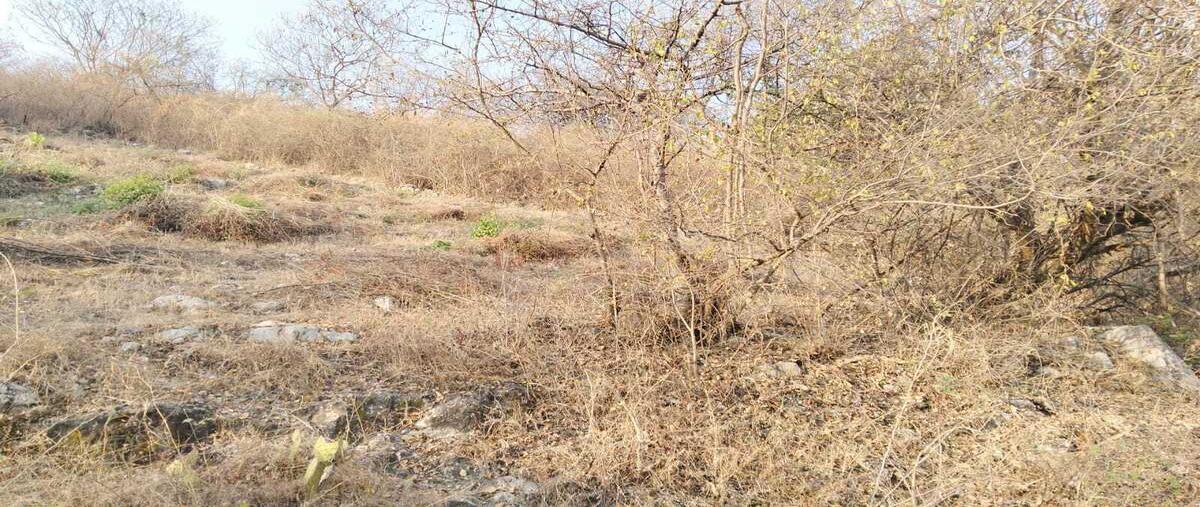 Foto de terreno habitacional en venta en  , jovito serrano, yautepec, morelos, 25676724 No. 01