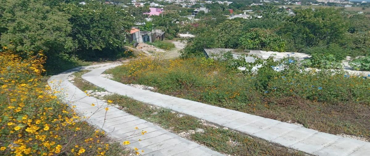 Foto de terreno habitacional en venta en  , jovito serrano, yautepec, morelos, 25676724 No. 05