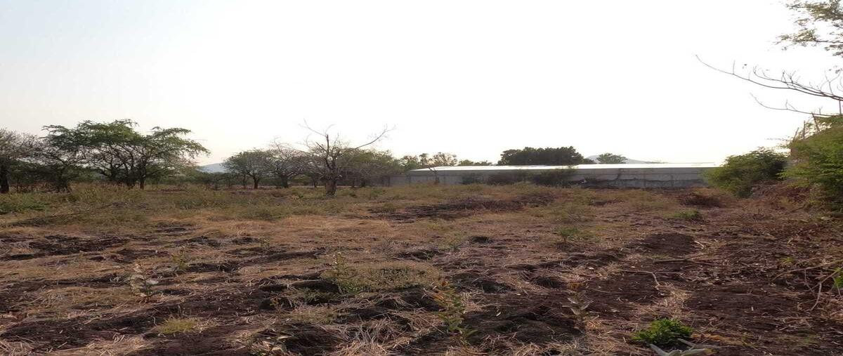 Foto de terreno habitacional en venta en  , jovito serrano, yautepec, morelos, 0 No. 02