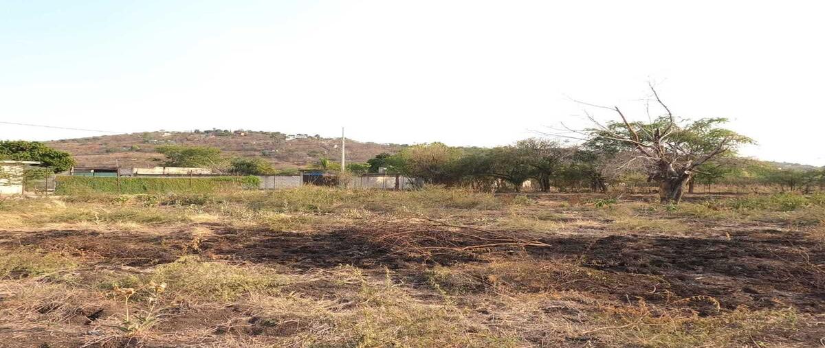 Foto de terreno habitacional en venta en  , jovito serrano, yautepec, morelos, 0 No. 05