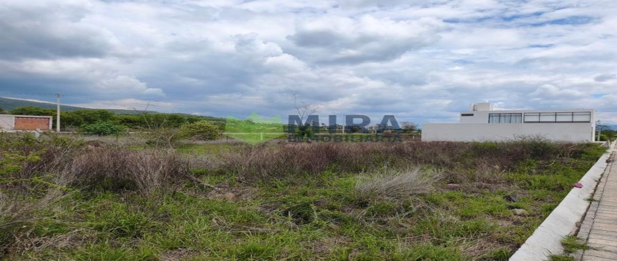 Foto de terreno habitacional en venta en  , joya de la huerta, morelia, michoacán de ocampo, 0 No. 03