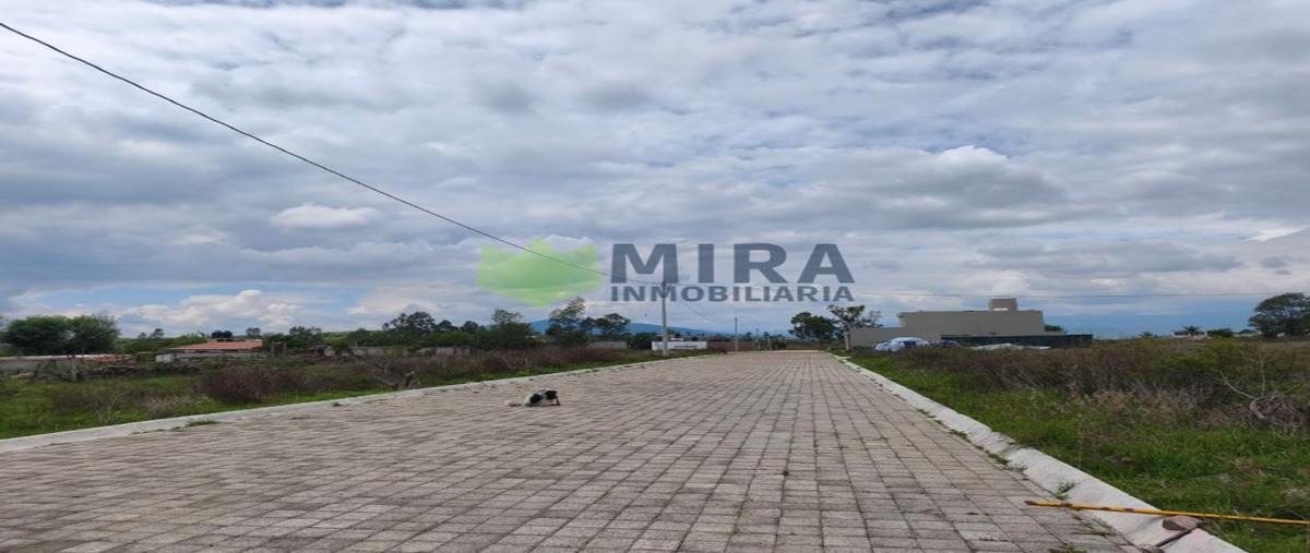 Foto de terreno habitacional en venta en  , joya de la huerta, morelia, michoacán de ocampo, 0 No. 04