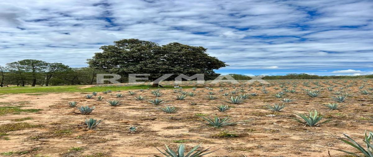 Foto de terreno comercial en venta en joya de ocotes , el salvador, tequila, jalisco, 0 No. 05