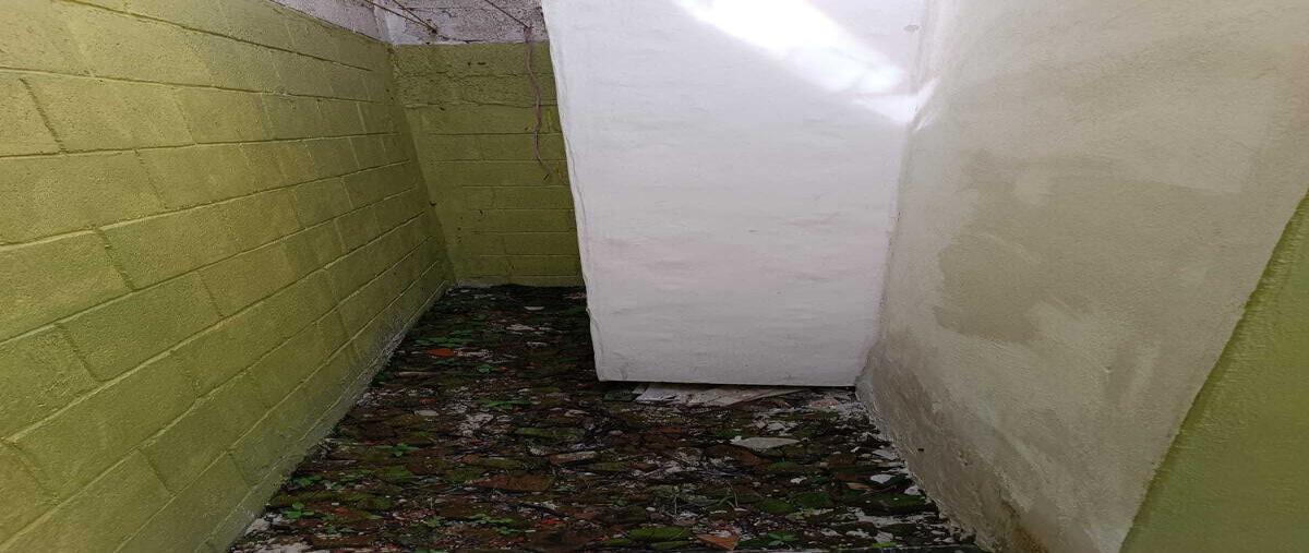 Foto de casa en renta en joyas de agua , joyas de agua, jiutepec, morelos, 0 No. 05