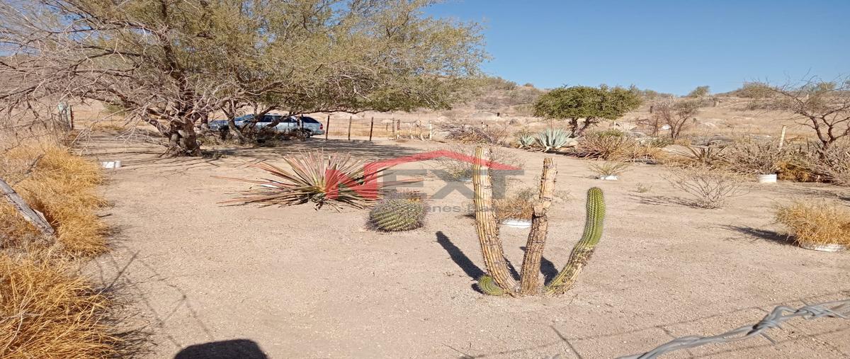 Foto de terreno habitacional en venta en joyas de bachoco 0, joyas del bachoco, hermosillo, sonora, 0 No. 04