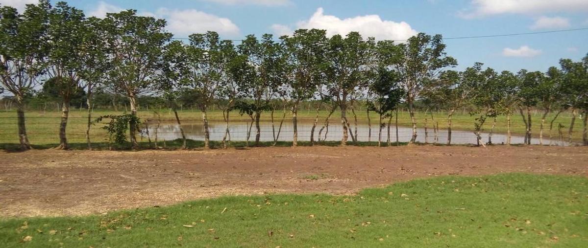 Foto de terreno habitacional en , juan diaz covarrubias centro, hueyapan de ocampo, veracruz de ignacio de la llave, 23671441 foto 02 Foto de terreno habitacional en venta en , juan diaz covarrubias centro, hueyapan de ocampo, veracruz de ignacio de la llave, 23671441 No. 02