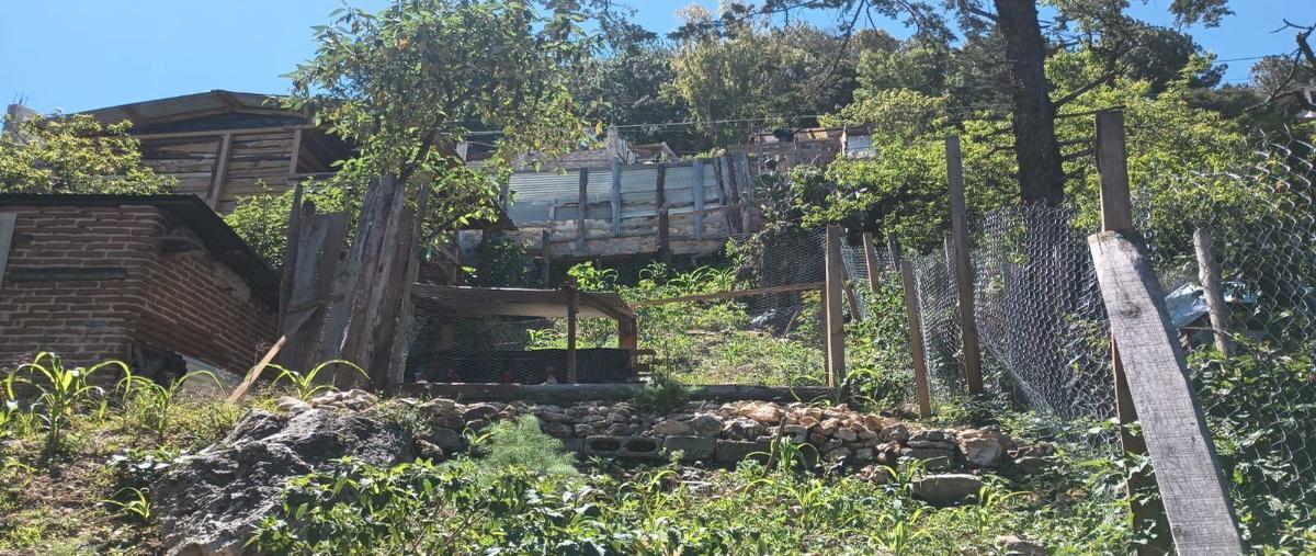 Foto de terreno habitacional en venta en juan escutia , san antonio, san cristóbal de las casas, chiapas, 28025977 No. 05