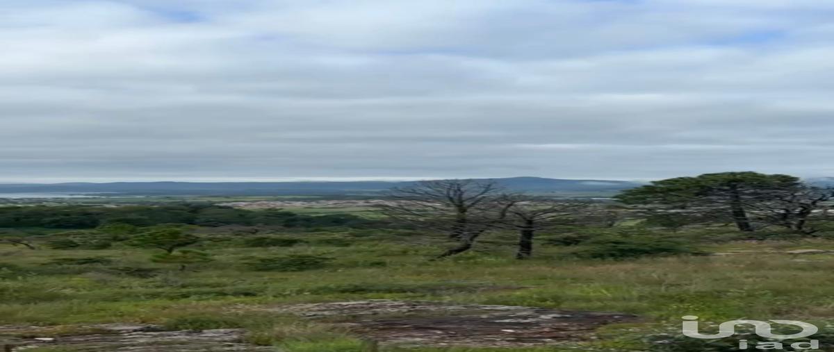 Foto de terreno habitacional en venta en juan gil preciado 2103, tapalpa, tapalpa, jalisco, 30221396 No. 05