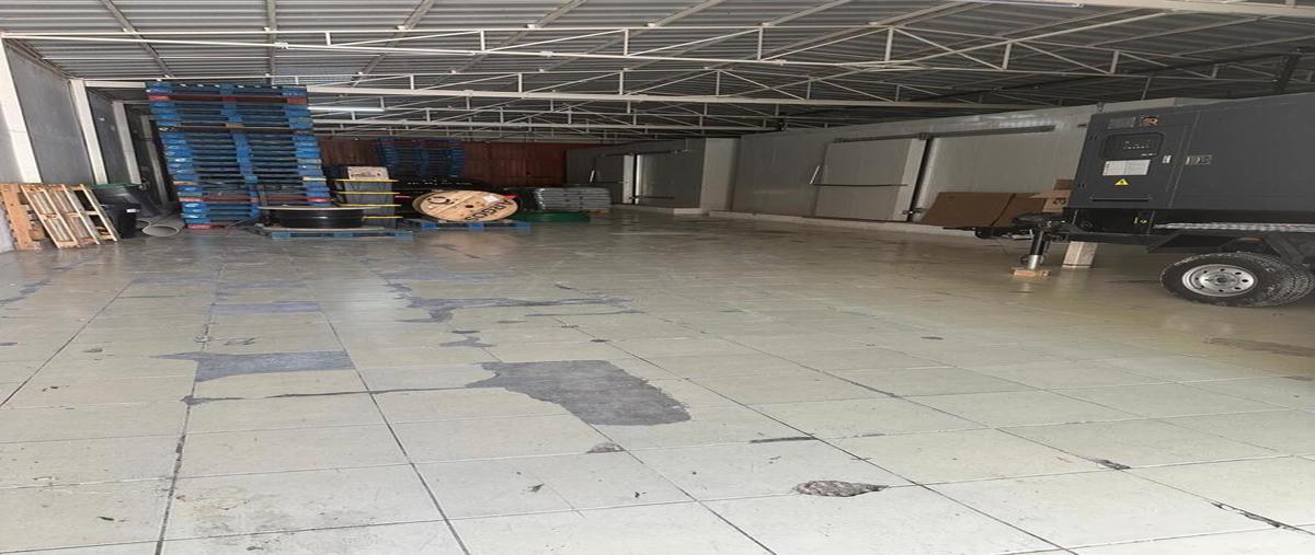 Foto de bodega en juan josé siordia , magisterial, bacalar, quintana roo, 30684848 foto 04 Foto de bodega en renta en juan josé siordia , magisterial, bacalar, quintana roo, 30684848 No. 04