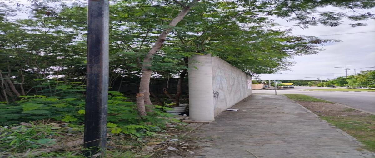 Foto de terreno comercial en venta en  , juan pablo ii cardenales, mérida, yucatán, 27448738 No. 05