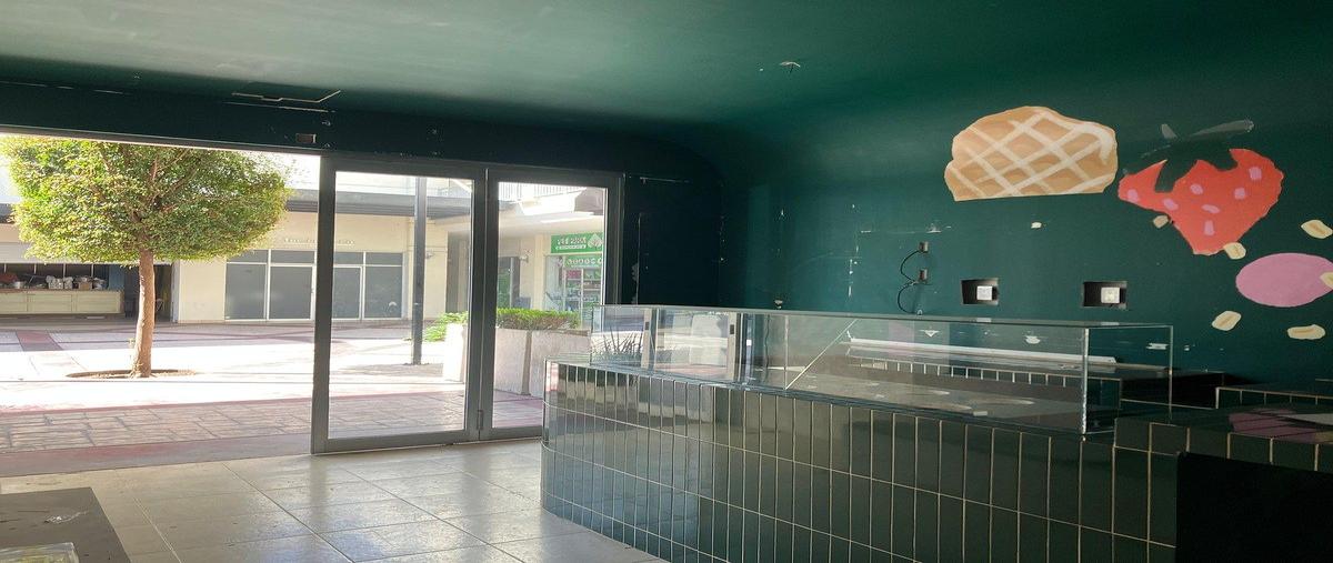 Foto de local en renta en juan palomar y arias , jardines vallarta, zapopan, jalisco, 30841667 No. 05