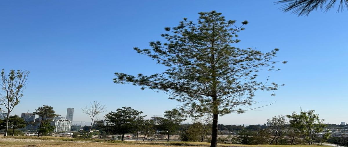 Foto de terreno habitacional en venta en juan palomar y arías , virreyes residencial, zapopan, jalisco, 0 No. 05