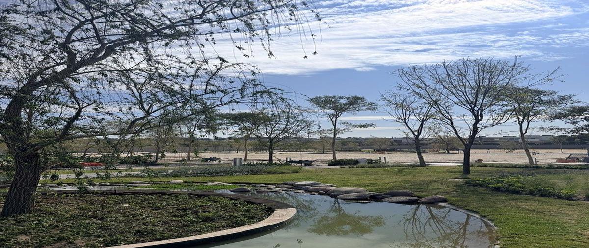 Foto de terreno habitacional en venta en juan palomar y arias , virreyes residencial, zapopan, jalisco, 0 No. 04