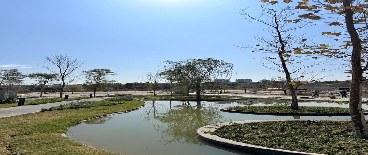 Foto de terreno habitacional en venta en juan palomar y arias , virreyes residencial, zapopan, jalisco, 0 No. 05