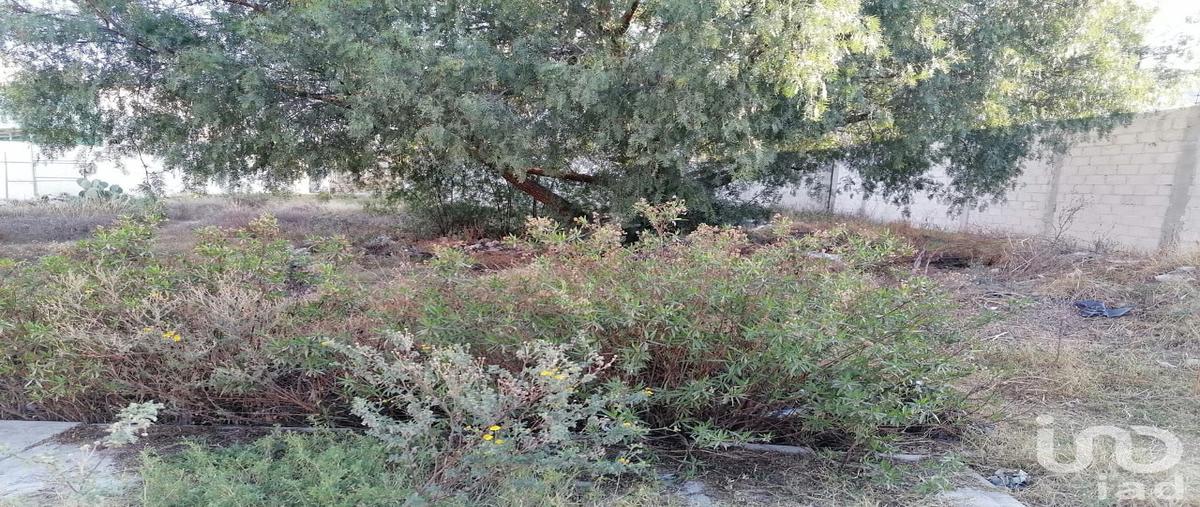 Foto de terreno habitacional en venta en juan razo 252, jorge rojo lugo, mineral de la reforma, hidalgo, 29307794 No. 05