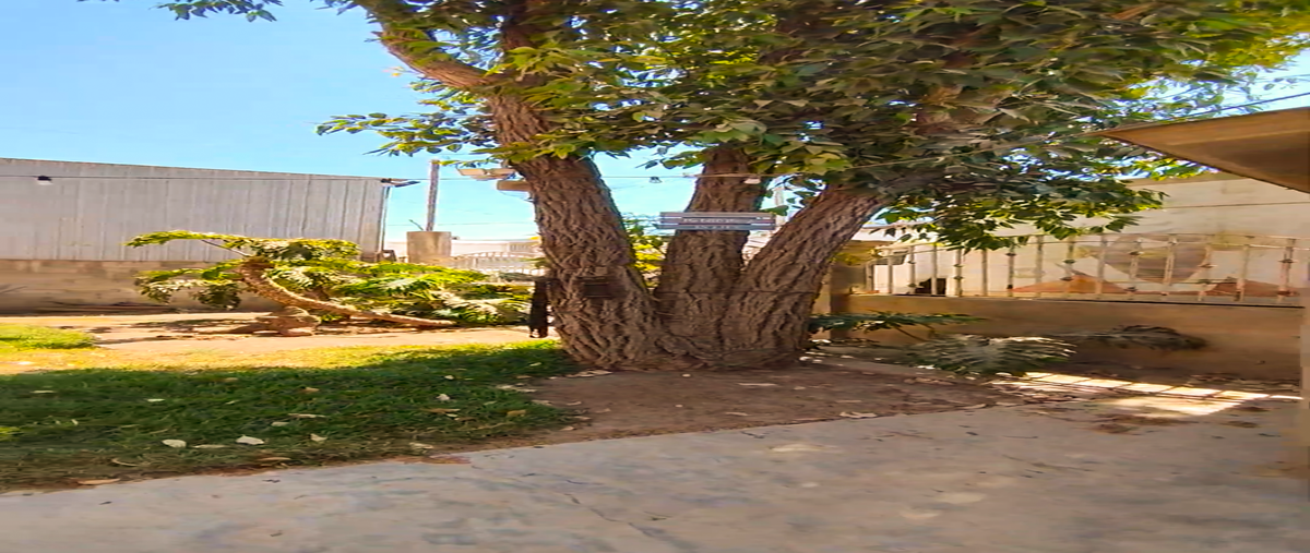 Foto de casa en venta en juan rulfo , escritores, ensenada, baja california, 0 No. 03