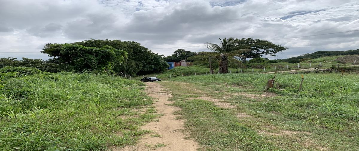 Foto de terreno habitacional en venta en juan sabines , lomas de mactumatza, tuxtla gutiérrez, chiapas, 0 No. 05