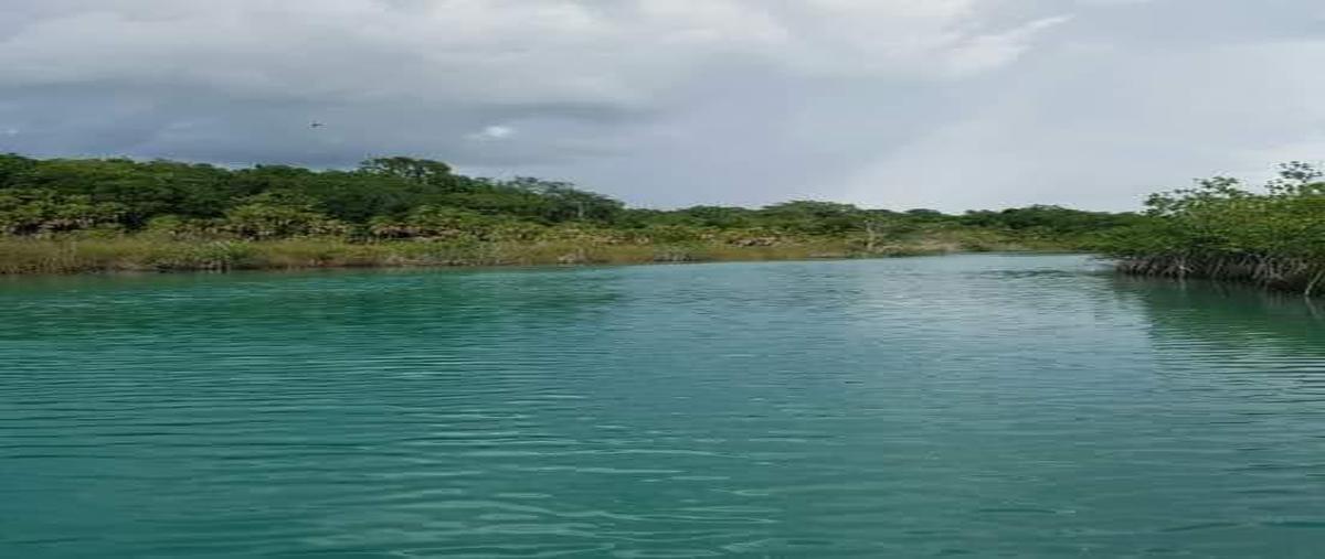 Foto de terreno habitacional en venta en  , juan sarabia, othón p. blanco, quintana roo, 0 No. 03
