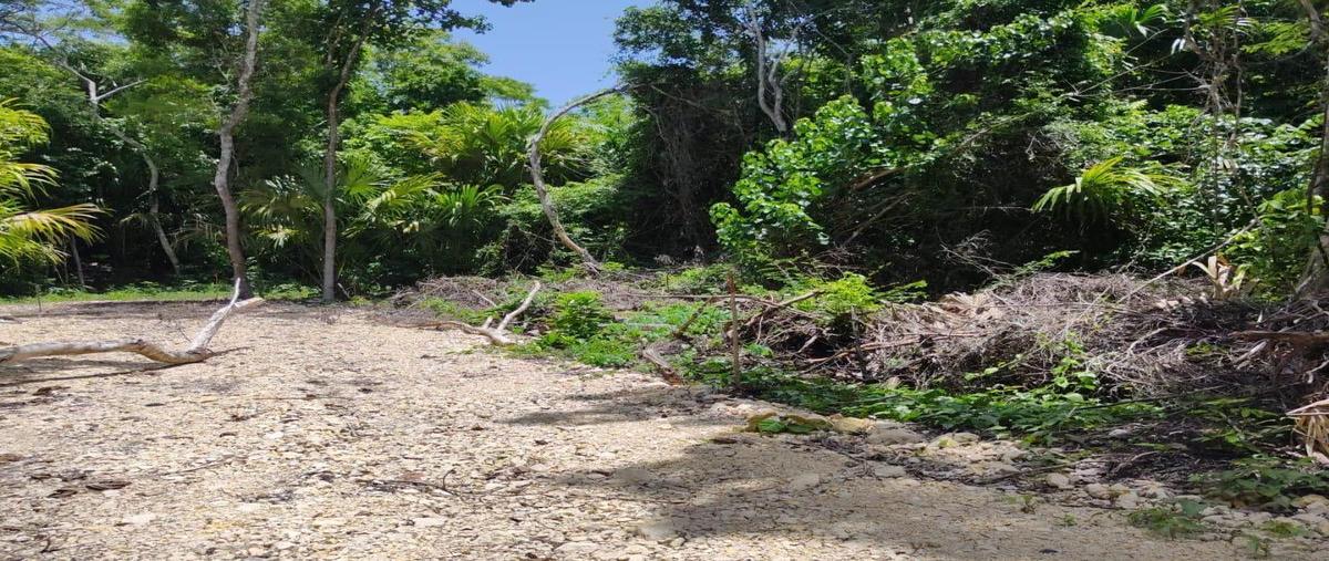 Foto de terreno habitacional en venta en  , juan sarabia, othón p. blanco, quintana roo, 0 No. 05