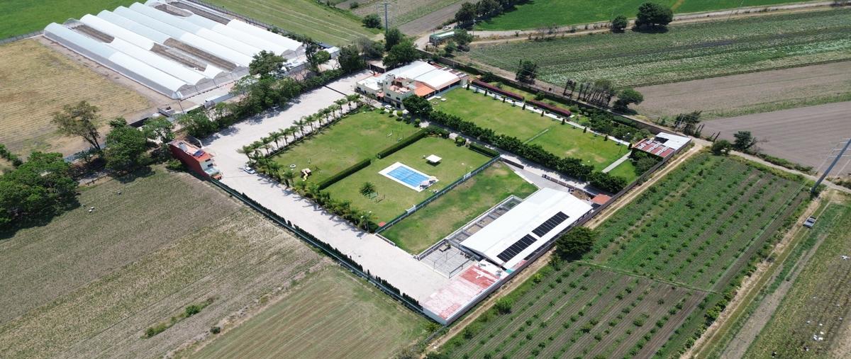 Foto de rancho en venta en  , juan uvera, atlixco, puebla, 29833431 No. 03