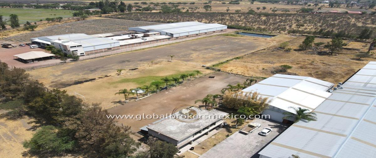 Foto de terreno habitacional en venta en  , juanacatlan, juanacatlán, jalisco, 26420426 No. 02