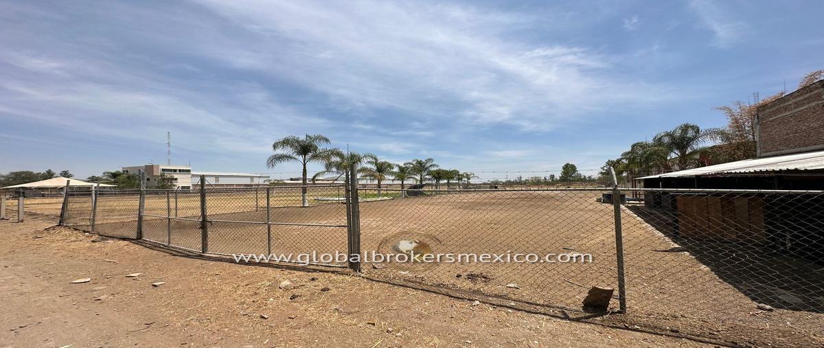 Foto de terreno habitacional en venta en  , juanacatlan, juanacatlán, jalisco, 26420426 No. 05
