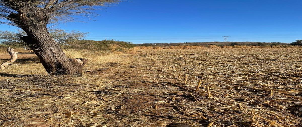 Foto de terreno habitacional en juanacatlan , juanacatlan, juanacatlán, jalisco, 27873994 foto 01 Foto de terreno habitacional en venta en juanacatlan , juanacatlan, juanacatlán, jalisco, 27873994 No. 01
