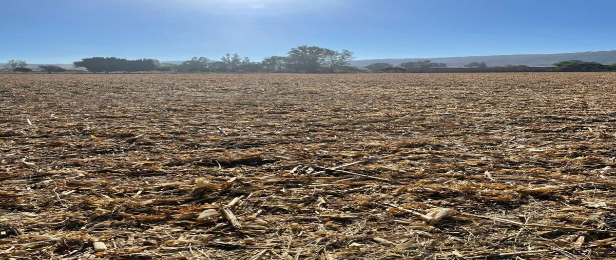 Foto de terreno habitacional en juanacatlan , juanacatlan, juanacatlán, jalisco, 27873994 foto 03 Foto de terreno habitacional en venta en juanacatlan , juanacatlan, juanacatlán, jalisco, 27873994 No. 03