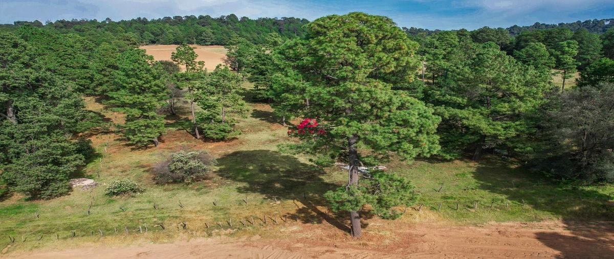 Foto de terreno habitacional en venta en juanacatlán , juanacatlan, tapalpa, jalisco, 29221018 No. 03