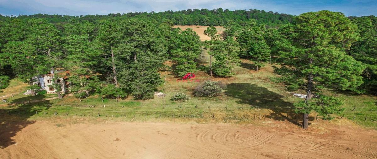 Foto de terreno habitacional en venta en juanacatlán , juanacatlan, tapalpa, jalisco, 29221018 No. 04