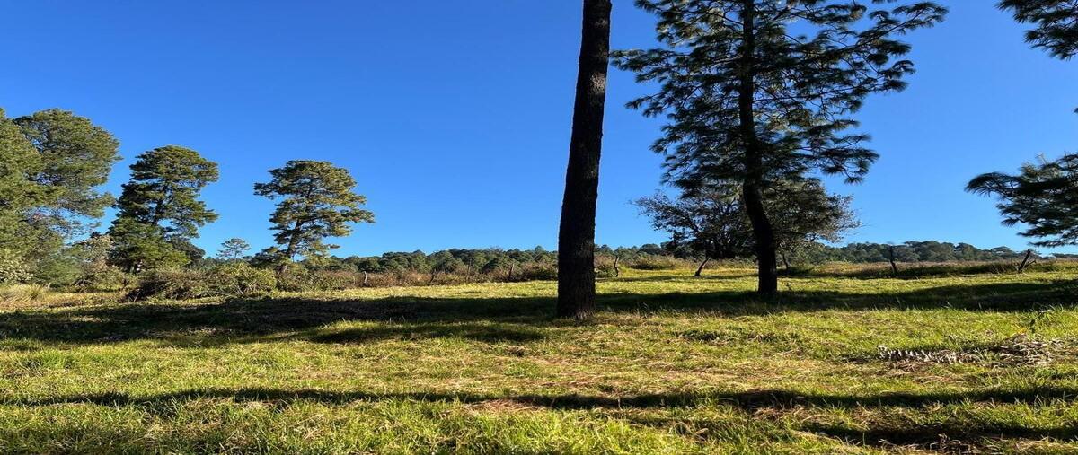 Foto de terreno habitacional en venta en juanacatlán , juanacatlan, tapalpa, jalisco, 29221018 No. 05