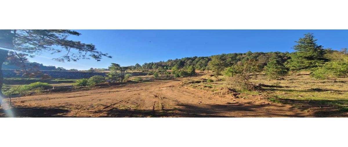 Foto de terreno habitacional en venta en  , juanacatlan, tapalpa, jalisco, 0 No. 02