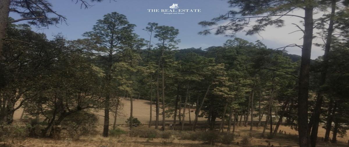 Foto de terreno habitacional en venta en  , juanacatlan, tapalpa, jalisco, 28305643 No. 05