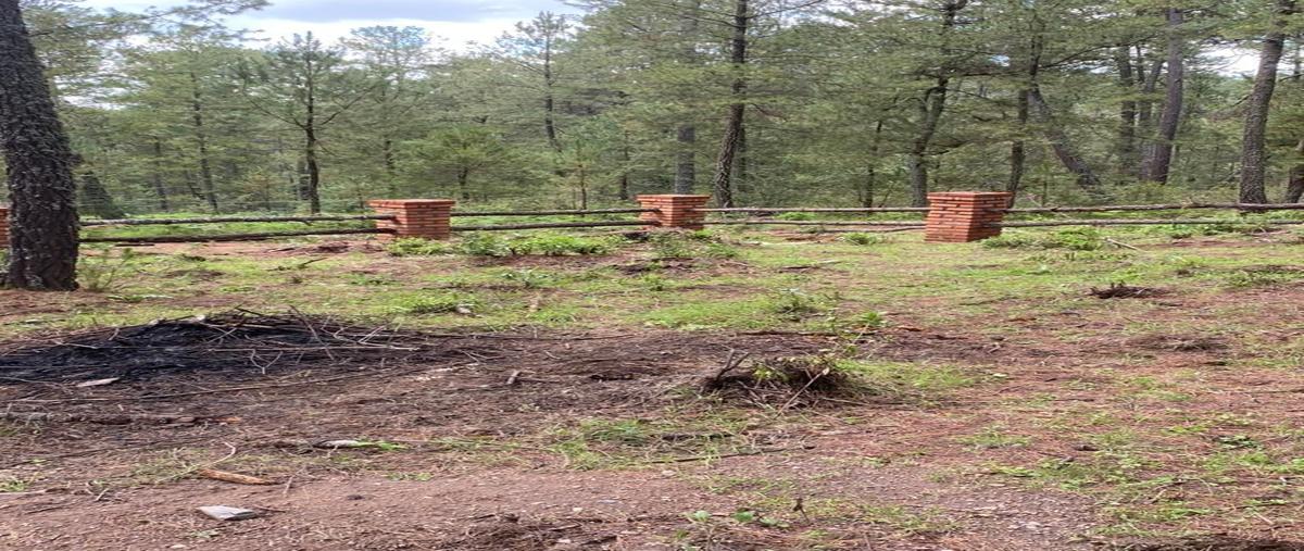 Foto de terreno habitacional en venta en  , juanacatlan, tapalpa, jalisco, 29051196 No. 01
