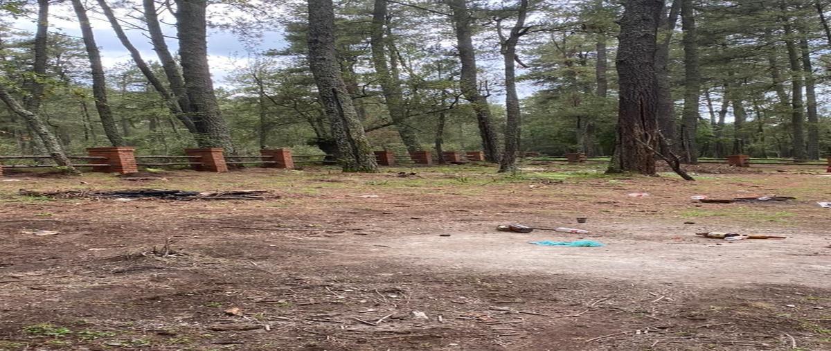 Foto de terreno habitacional en venta en  , juanacatlan, tapalpa, jalisco, 29051196 No. 02