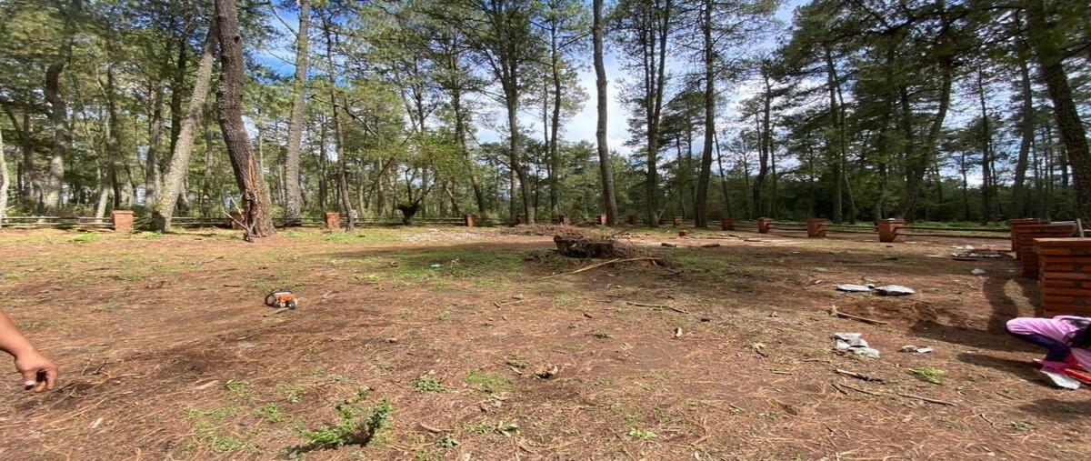 Foto de terreno habitacional en venta en  , juanacatlan, tapalpa, jalisco, 29051196 No. 05