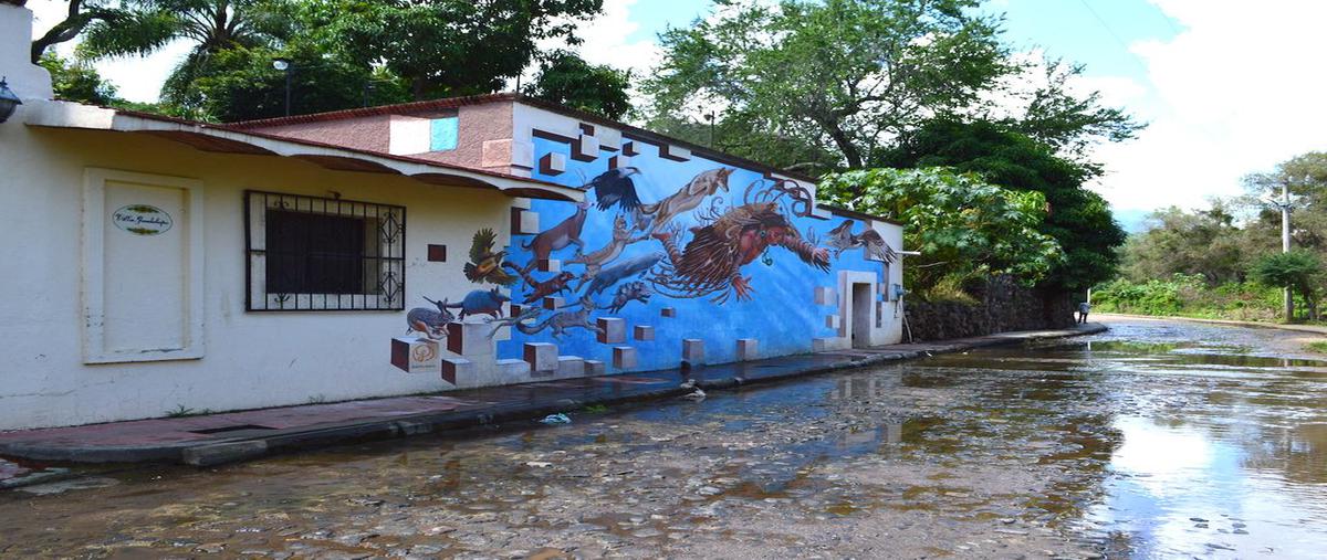 Foto de casa en venta en juárez 227, teuchitlán, teuchitlán, jalisco, 25763167 No. 03