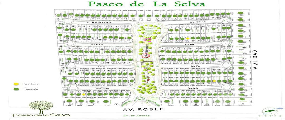 Foto de terreno habitacional en venta en  , juárez, benito juárez, quintana roo, 0 No. 05