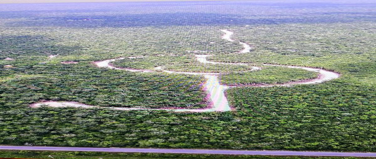 Foto de terreno habitacional en , juárez, benito juárez, quintana roo, 0 foto 01 Foto de terreno habitacional en venta en , juárez, benito juárez, quintana roo, 0 No. 01